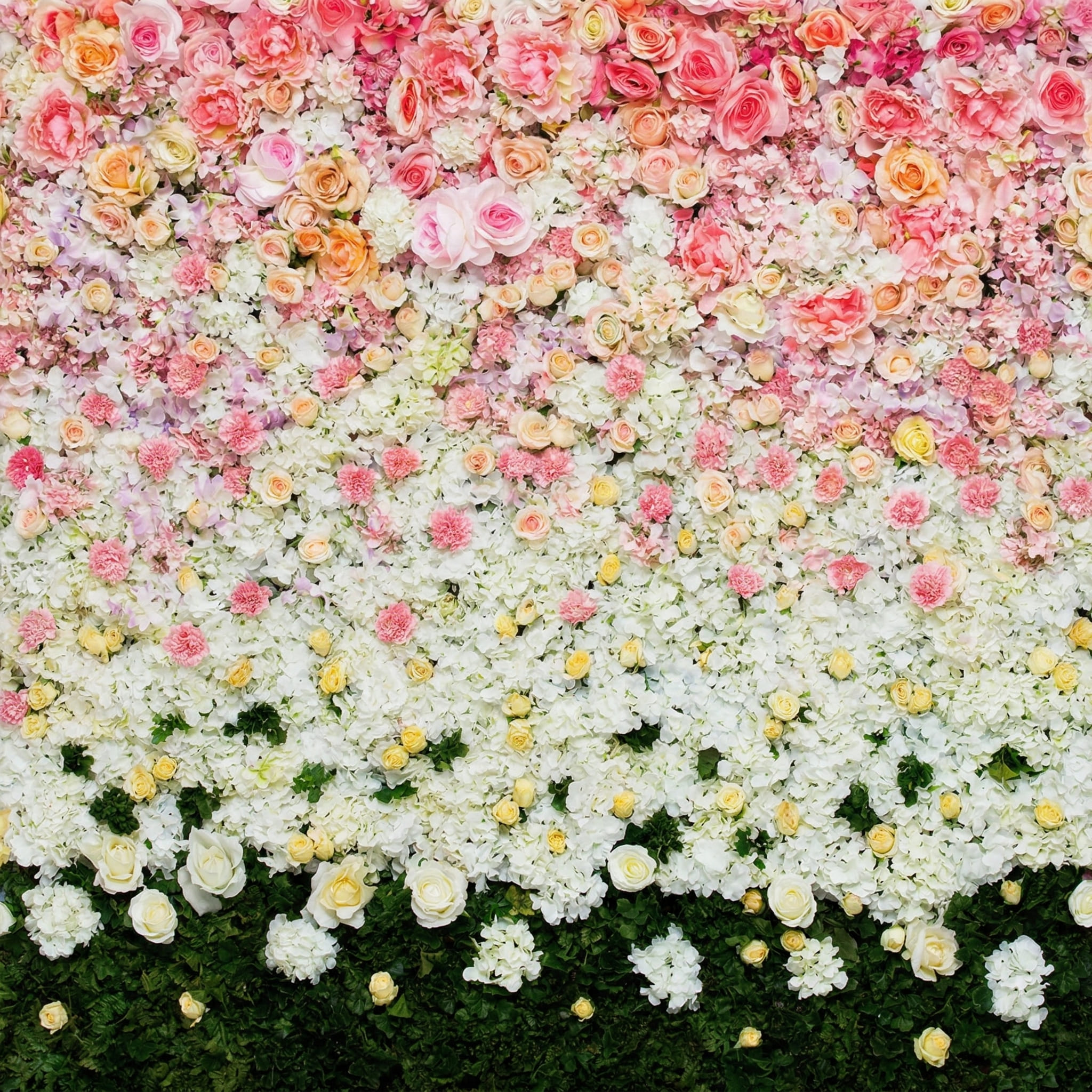 Flowers 2 backdrop