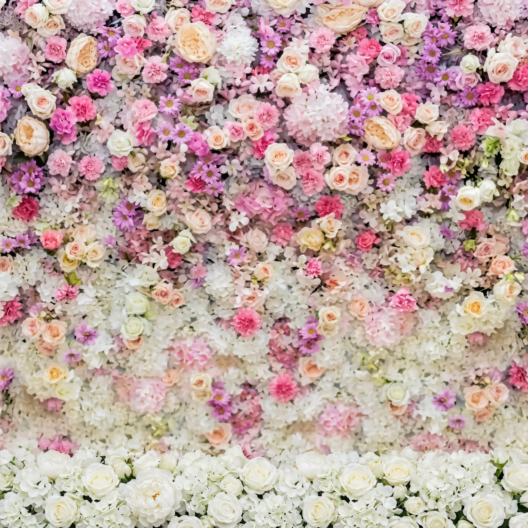 Flowers 3 backdrop